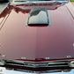65 - 66 Mustang GT350 Carbon Fiber Hood Scoop