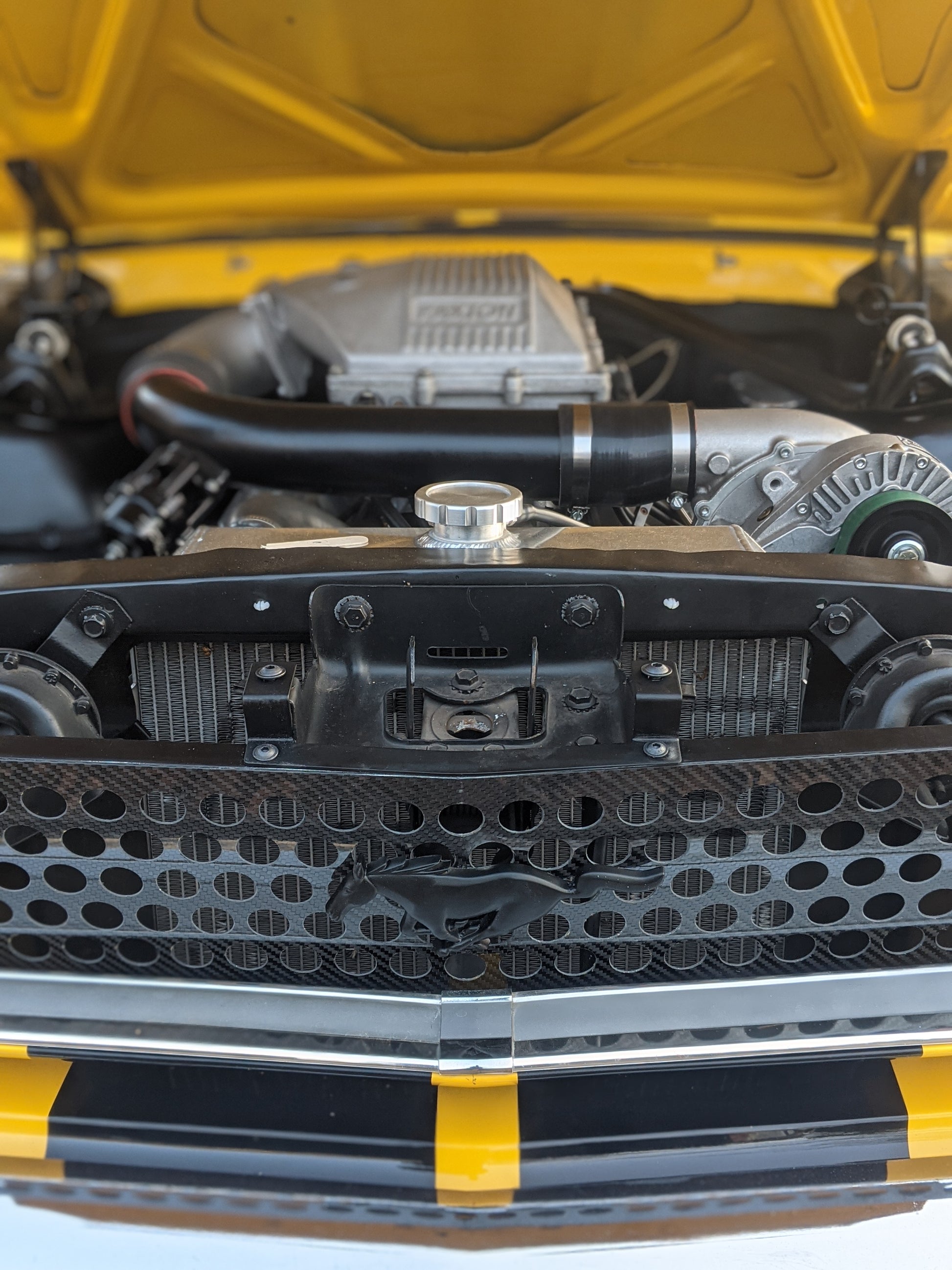 1965 - 1966 Mustang Carbon Fiber Hoonigrill