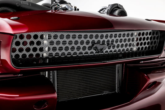 65 - 66 Mustang Carbon Fiber Hoonigrill